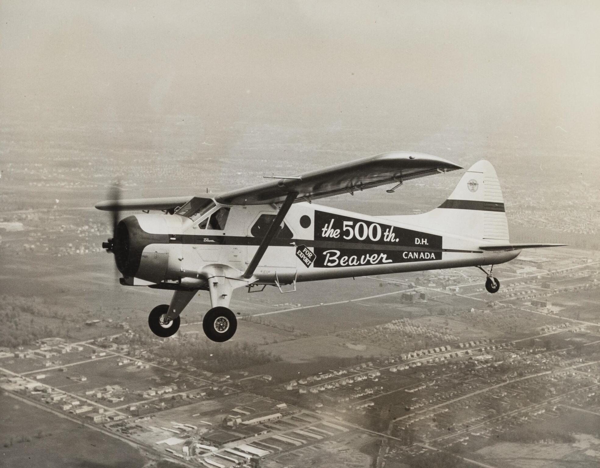 The 500th de Havilland DHC-2 Beaver in flight.